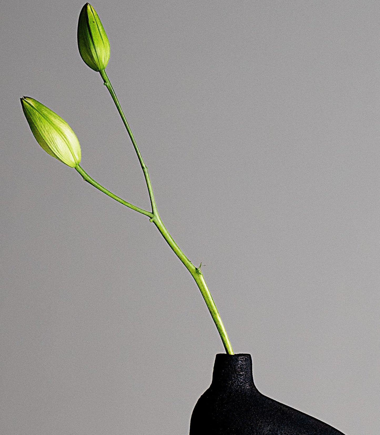 A Cluster of Vases